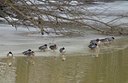 BUITEN BEELD Foto: 11488