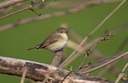 BUITEN BEELD Foto: 11561