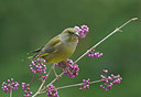 BUITEN BEELD Foto: 11598