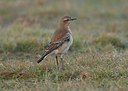 BUITEN BEELD Foto: 11599