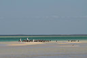 BUITEN BEELD Foto: 11625