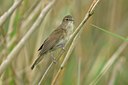 BUITEN BEELD Foto: 11736