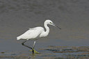 BUITEN BEELD Foto: 11778