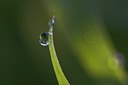 BUITEN BEELD Foto: 11796