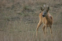 BUITEN BEELD Foto: 11865