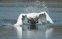 BUITEN BEELD Foto: 119146