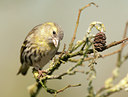 BUITEN BEELD Foto: 119149