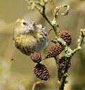 BUITEN BEELD Foto: 119150