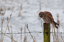 BUITEN BEELD Foto: 119168