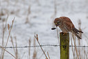 BUITEN BEELD Foto: 119169