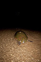BUITEN BEELD Foto: 119246