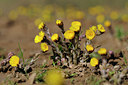 BUITEN BEELD Foto: 119285