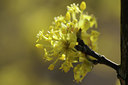 BUITEN BEELD Foto: 119295