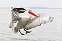 BUITEN BEELD Foto: 119319