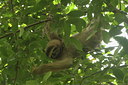 BUITEN BEELD Foto: 119337