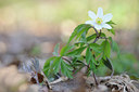 BUITEN BEELD Foto: 119388