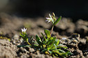 BUITEN BEELD Foto: 119392