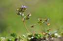 BUITEN BEELD Foto: 119492