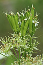 BUITEN BEELD Foto: 119563
