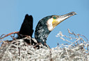 BUITEN BEELD Foto: 119616