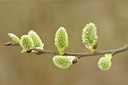 BUITEN BEELD Foto: 119635