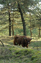 BUITEN BEELD Foto: 119660