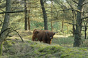 BUITEN BEELD Foto: 119663