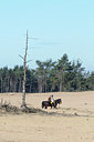 BUITEN BEELD Foto: 119669