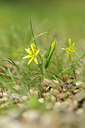 BUITEN BEELD Foto: 119706