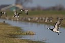 BUITEN BEELD Foto: 119771