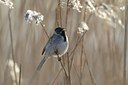 BUITEN BEELD Foto: 119789