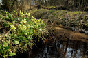 BUITEN BEELD Foto: 119805