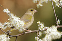 BUITEN BEELD Foto: 119873