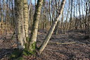 BUITEN BEELD Foto: 119964