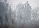 BUITEN BEELD Foto: 119985