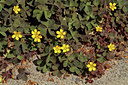 BUITEN BEELD Foto: 120036