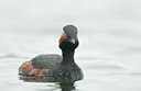 BUITEN BEELD Foto: 120050