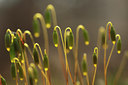 BUITEN BEELD Foto: 120145