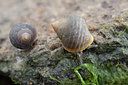 BUITEN BEELD Foto: 120238