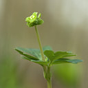 BUITEN BEELD Foto: 120284
