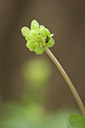 BUITEN BEELD Foto: 120288