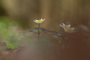 BUITEN BEELD Foto: 120289