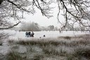 BUITEN BEELD Foto: 120292