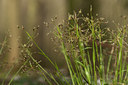 BUITEN BEELD Foto: 120294