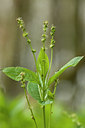 BUITEN BEELD Foto: 120302