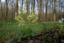 BUITEN BEELD Foto: 120350