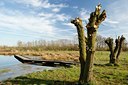 BUITEN BEELD Foto: 120370