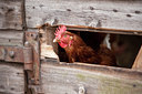 BUITEN BEELD Foto: 120378