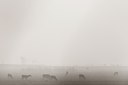 BUITEN BEELD Foto: 120413