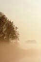 BUITEN BEELD Foto: 120427